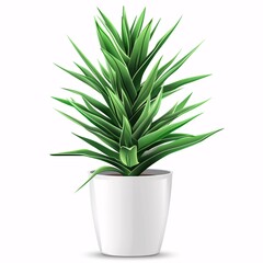 PNG illustration of a tall yucca plant with spiky green leaves in a white planter on a white background