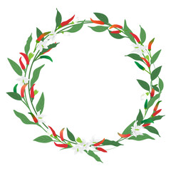 chili or paprika floral frame isolated on transparency background