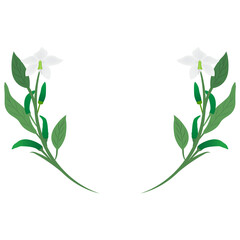 chili or paprika flower element on background