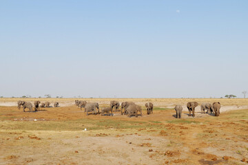 Botswana