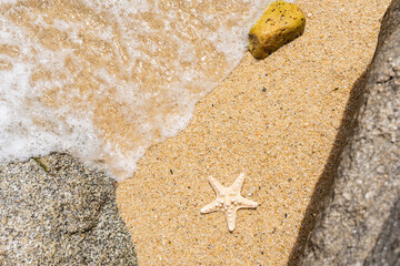 Top view composition of small beach with rocks and starfish on coarse sand and soft waves