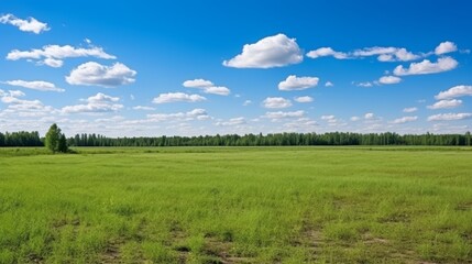 Vivid summer landscape  lush grass field, clear blue sky with clouds, serene beauty