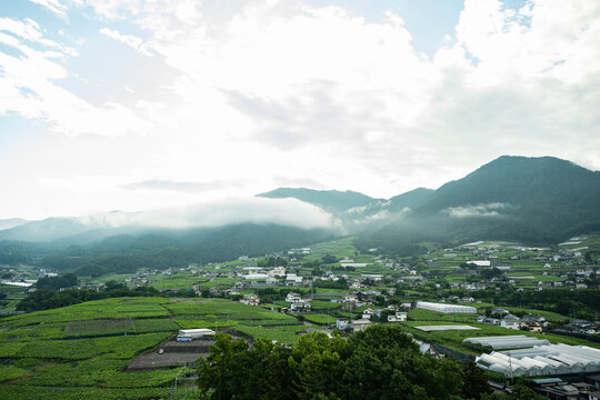 朝霧が立ち込める緑豊かな田園風景と村