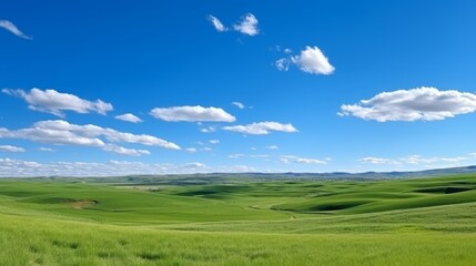 Obraz premium Tranquil summer panorama lush green field, clear blue sky, fluffy clouds serene landscape