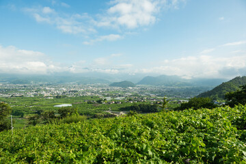 緑豊かな田園風景と村