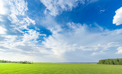 A lush green field with vibrant trees reaching towards the sky, accompanied by billowing clouds in the background, creating a picturesque scene of tranquility and natures beauty.