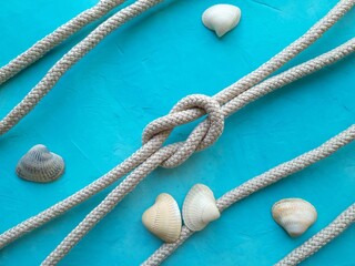 Shells and rope on blue background