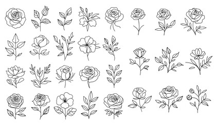 set of flowers. Collection of hand drawn flowers. Outline roses and leaves.  