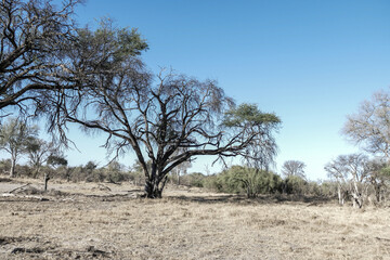 Botswana