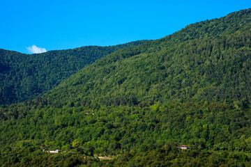 Obraz premium A lush green mountain with a clear blue sky