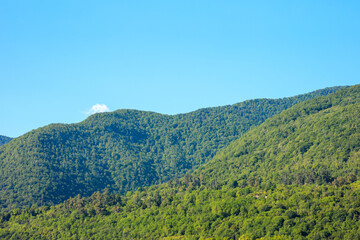 The mountains are covered in lush green trees and the sky is clear and blue