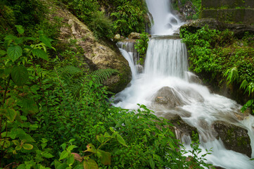 Paglajhora waterfall , famous waterfall in monsoon, at Kurseong, Himalayan mountains of Darjeeling,...