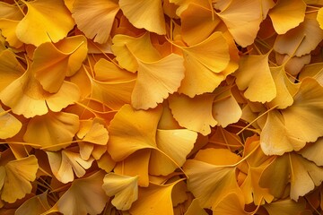 Close up of yellow leaves on tree