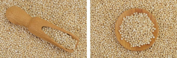 background of sorghum seeds with wooden scoop and bowl. Top view. Flat lay.