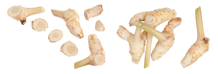 Fresh galangal root with slices isolated on white background . Top view with copy space for your text. Flat lay