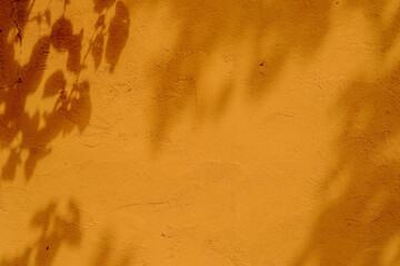 Tree leaves shadow on orange color concrete wall texture background