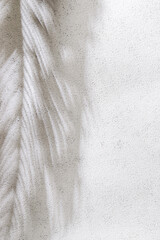 Palm leaf shadow on white concrete wall. Minimal summer exotic concept with copy space