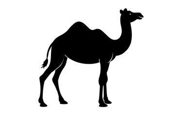 camel animal vector silhouette  illustration