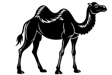 camel animal vector silhouette  illustration