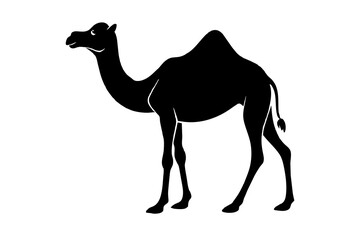 camel animal vector silhouette  illustration