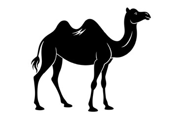 camel animal vector silhouette  illustration