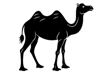 camel animal vector silhouette  illustration