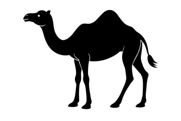 camel animal vector silhouette  illustration