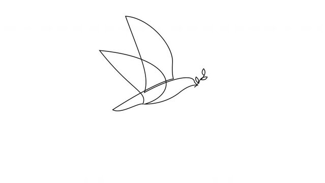 2d Animation motion graphics continuous line drawing of dove with olive branch. 4k loop video.