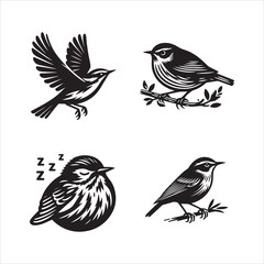 Fototapeta premium Aquatic Warbler silhouette vector icon graphic logo ai generated design