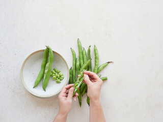 Top view of hands shelling fresh green beans, fava beans or vicia faba beans. Freshly harvested pods on the light stone countertop.