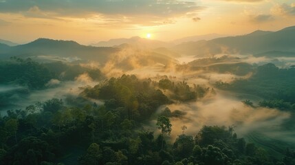 Fototapeta premium Breathtaking view of a misty forest valley at sunrise, with sunlight breaking through the clouds and casting a golden glow over the lush green landscape.