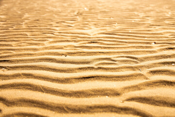 Textured golden beach sand detail on beach