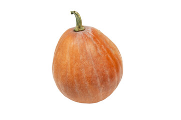 big orange pumpkin on a white background.	