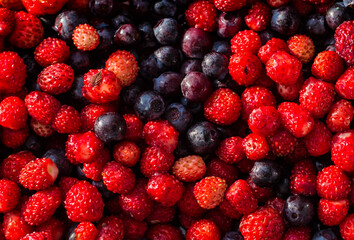 Berry Medley