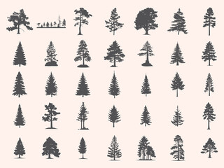 Silhouettes Trees Set, Pine Tree fir  pruce cedar white patch alder elm birch ash cypress beech palm tree.