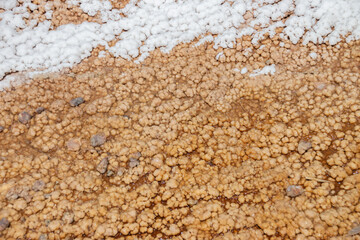 Provincia de Alicante - Novelda en la comarca del Medio Vinalopó, Santuario de Santa María Magdalena, castillo y Clots de la sal