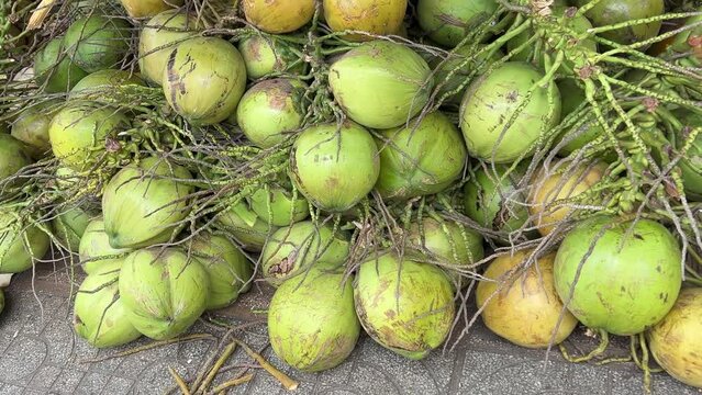 4K resolution footage of coconut water seller in street. Set of coconuts ready to be sold