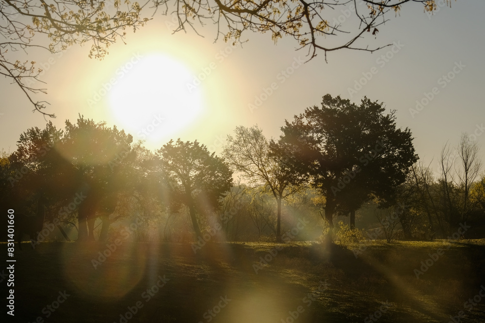 Wall mural dramatic sunrise in north texas landscape during spring season.