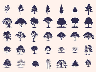Silhouettes Trees Set, Pine Tree fir  pruce cedar white patch alder elm birch ash cypress beech palm tree.