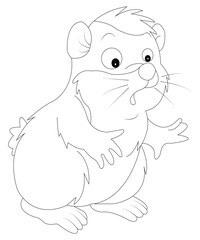 Hamster Coloring Book Page For All Ages