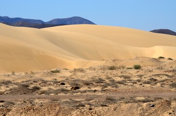 Dunas de Sharqiya Sands, Sultanato de Omán