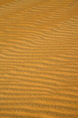 Ondas en las dunas de Sharqiya Sands, Sultanato de Omán