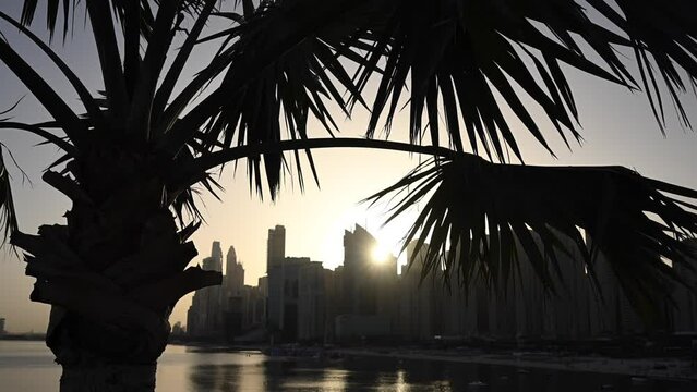 The sun is setting behind a palm tree, creating a striking silhouette against the sky