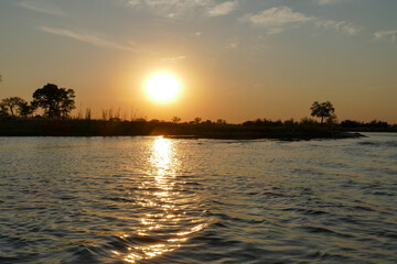 Naklejka premium Antilope