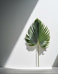 Tropical leaf background