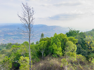 Beautiful landscape view of the Shevaroy hills seens from Pagoda Point in Yercaud, Tamil Nadu