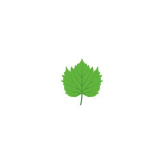 Green Leaf Vector