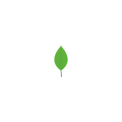 Green Leaf Vector