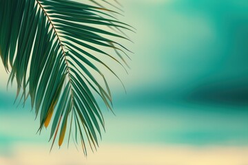 Sunlit Tropical Beach with Greenery