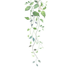 Green vertical decoration with abstract plants and leaves, hanging branches. Watercolor isolated floral illustration for invitation or greeting cards, wallpapers or banner.